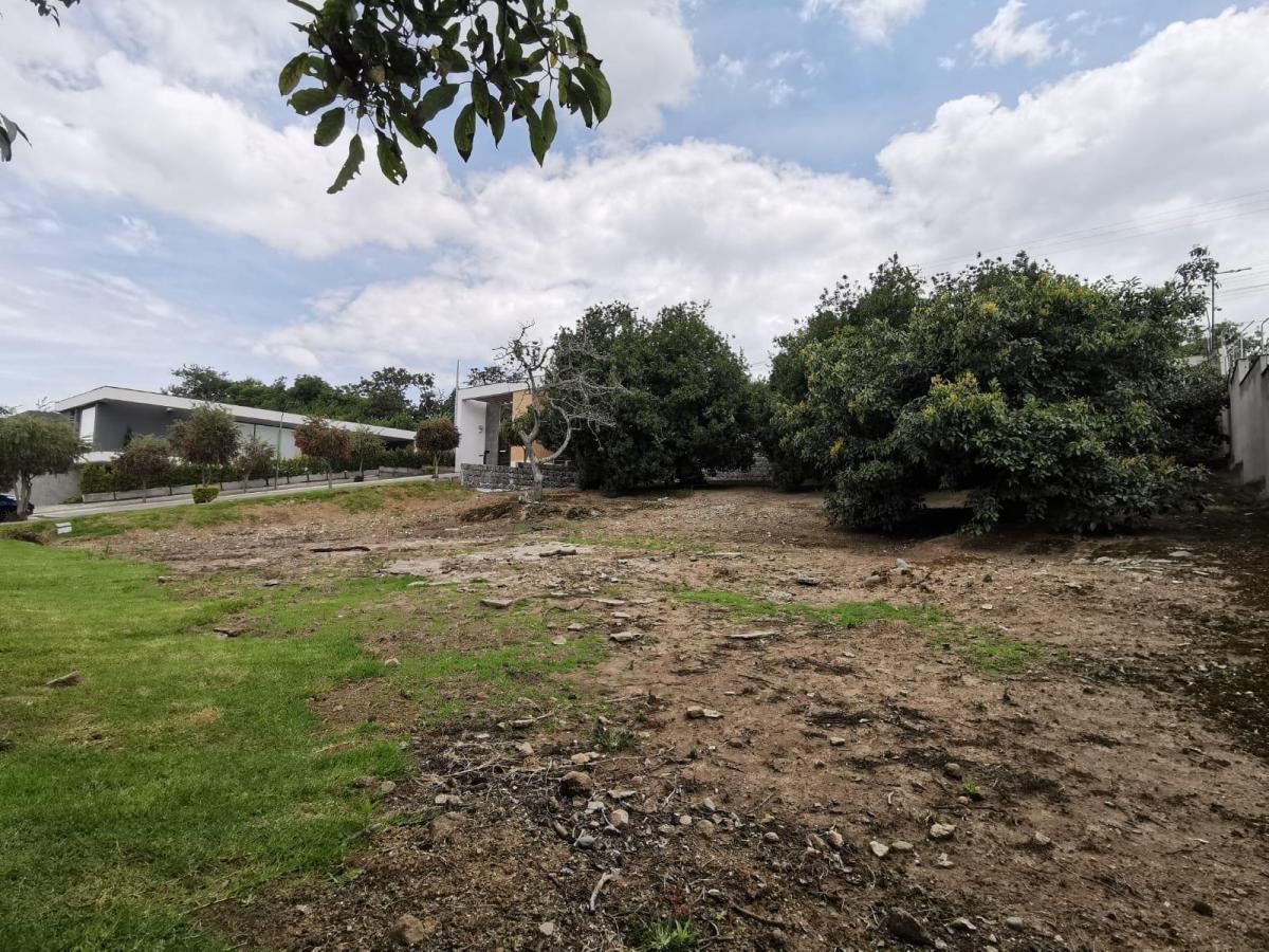 Terreno en Venta Puembo 930 m² Cerca Al Parque Central — imagen 7