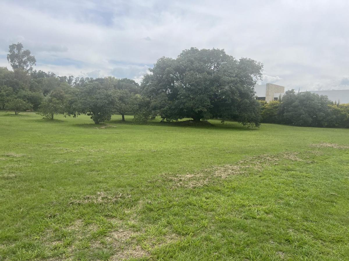 Tumbaco Terreno con Concepto Ecologico de Venta en Urb. Exclusiva (Unifamiliar) — imagen 9