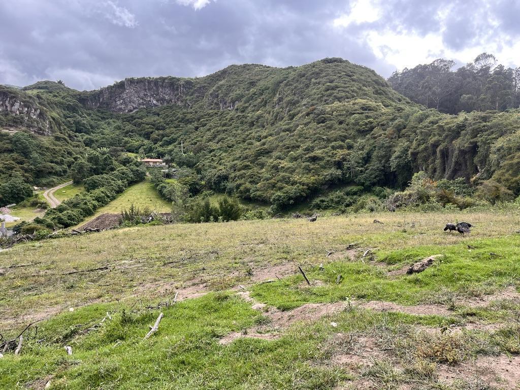 Terreno de 3579 m² de Venta en Pifo en Urbanización — imagen 6