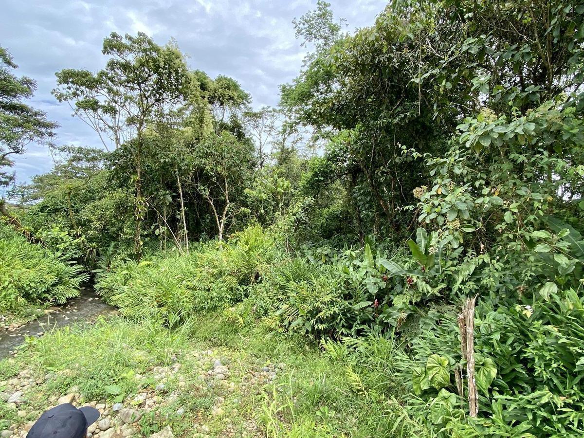 Vendo Terreno de 12.000 m² en El Puyo (Detrás del Banco Pichincha), Pastaza — imagen 9