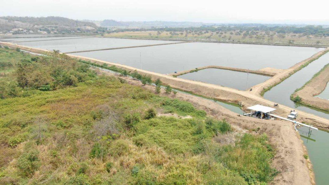 Camaronera de Venta en Chone Manabi, Manabí — imagen 9