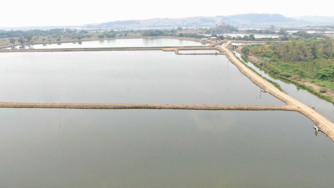 Camaronera de Venta en Chone Manabi, Manabí — imagen 6