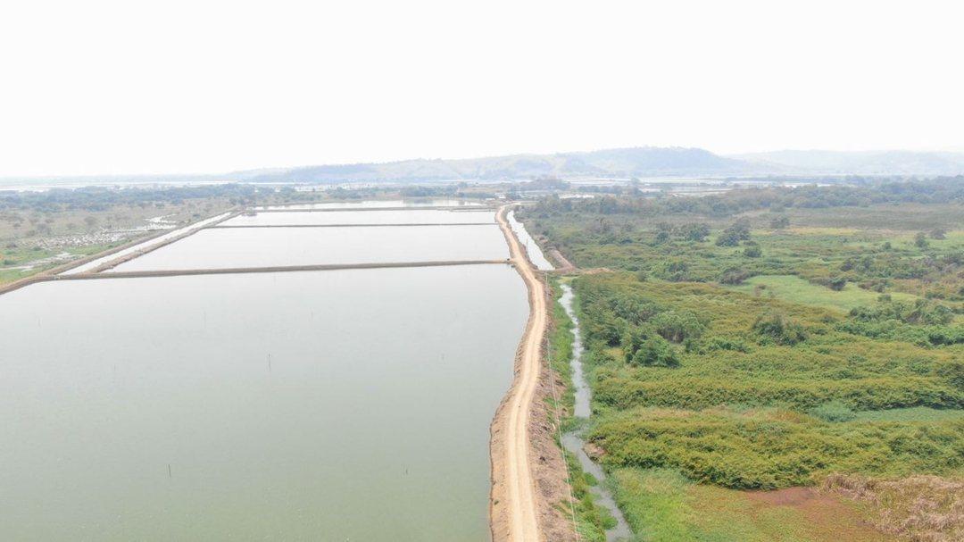 Camaronera de Venta en Chone Manabi, Manabí — imagen 2