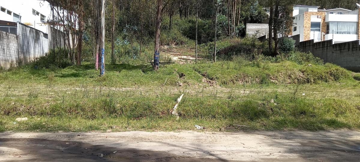 Terreno 2.500 m² - La Armenia - Valle de Los Chillos — imagen 8