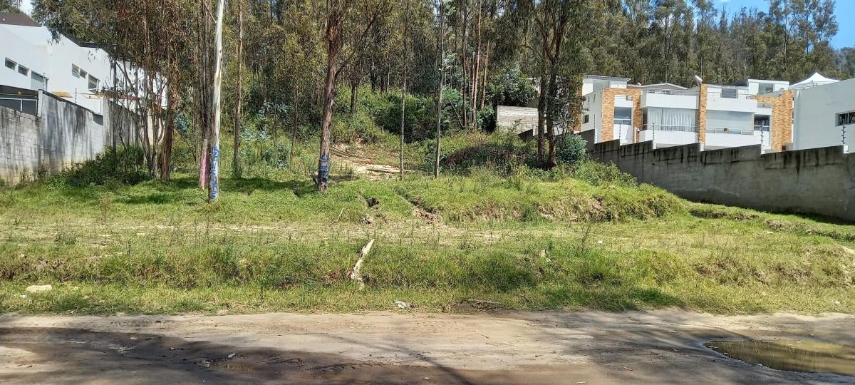 Terreno 2.500 m² - La Armenia - Valle de Los Chillos — imagen 7