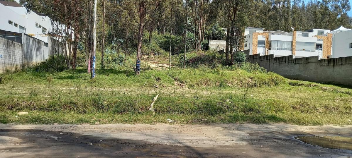 Terreno 2.500 m² - La Armenia - Valle de Los Chillos — imagen 6