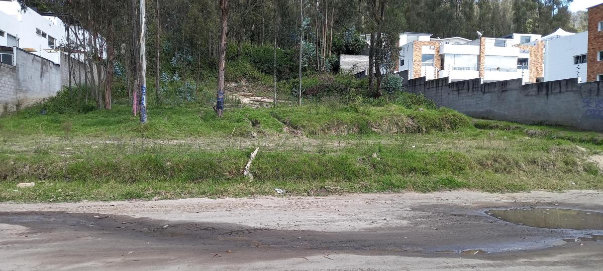 Terreno 2.500 m² - La Armenia - Valle de Los Chillos — imagen 2