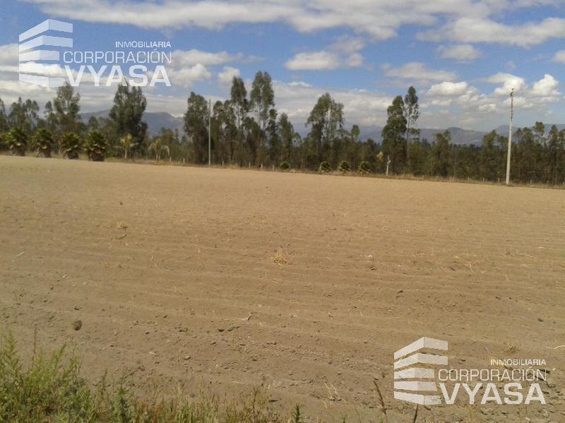 Tababela, Terreno de Venta Totalmente Plano 5 Has — imagen 7