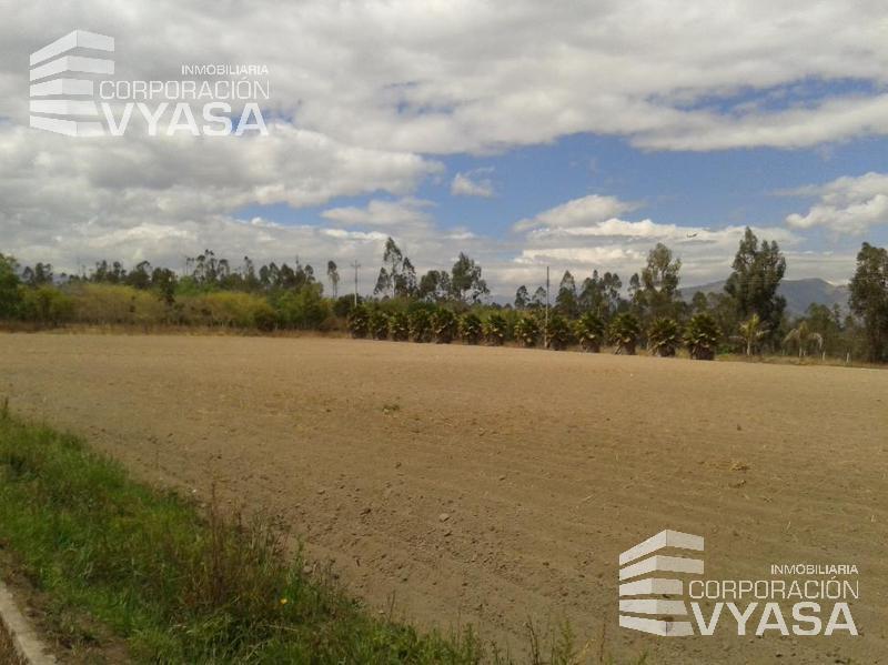 Tababela, Terreno de Venta Totalmente Plano 5 Has — imagen 6