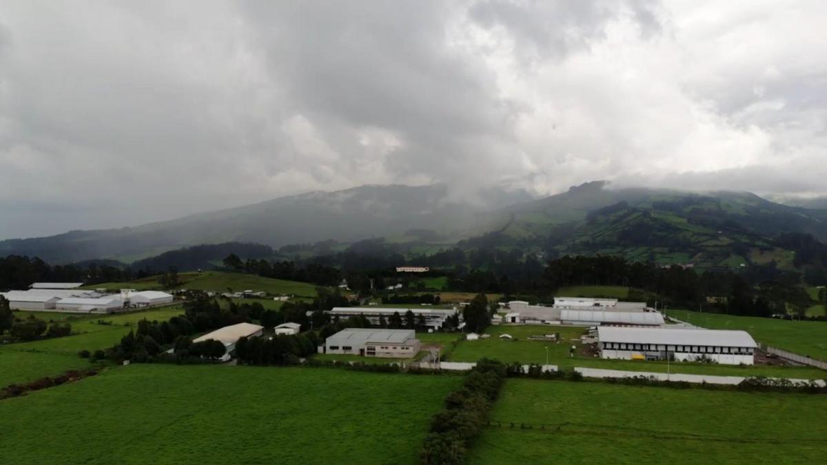 Terrenos Industriales en Tambillo por La Remonta — imagen 5