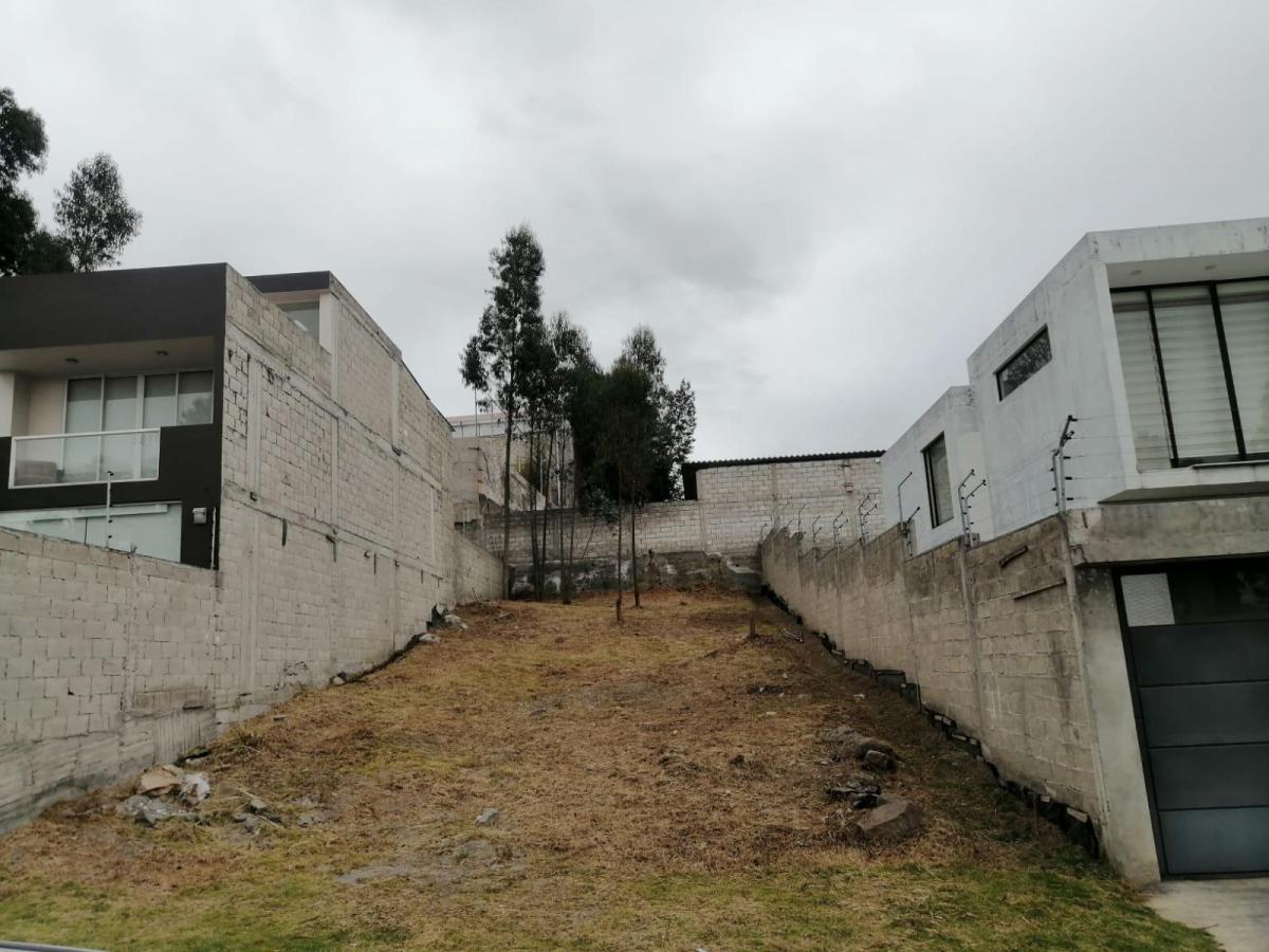 Venta de Terreno — imagen 7