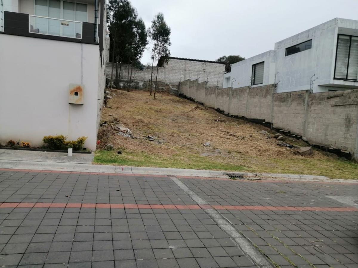 Venta de Terreno — imagen 6