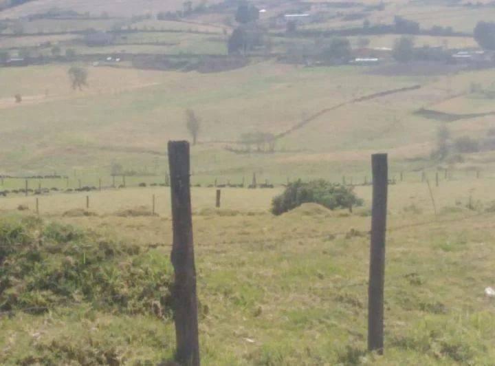 Venta Terreno Turubamba — imagen 2