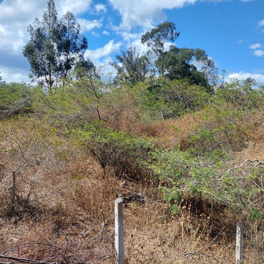 Terreno de Venta en Puembo, Zona Arrayanes — imagen 2