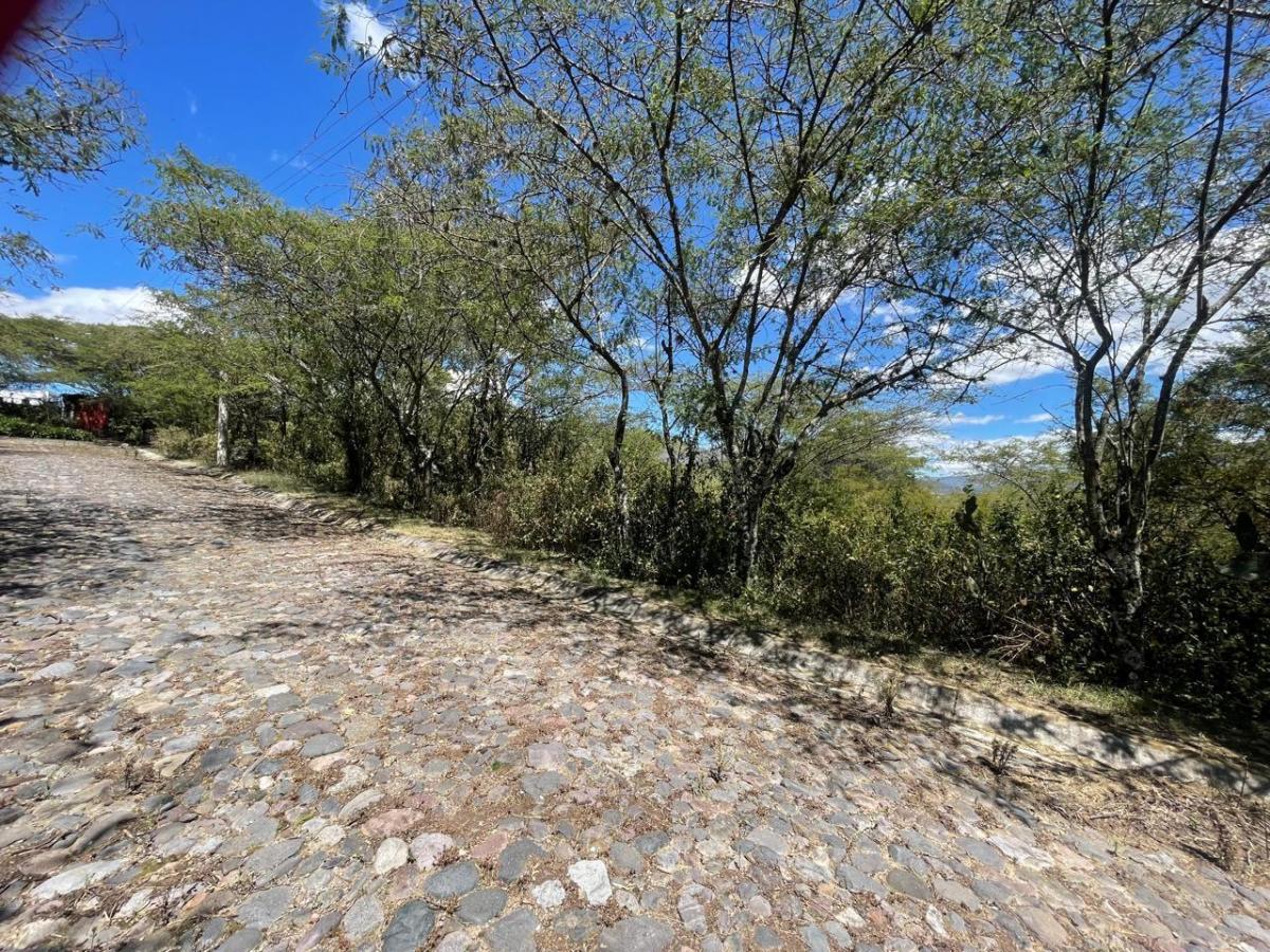 Terreno de Venta en Tumbaco Sector La Viña Alta — imagen 9