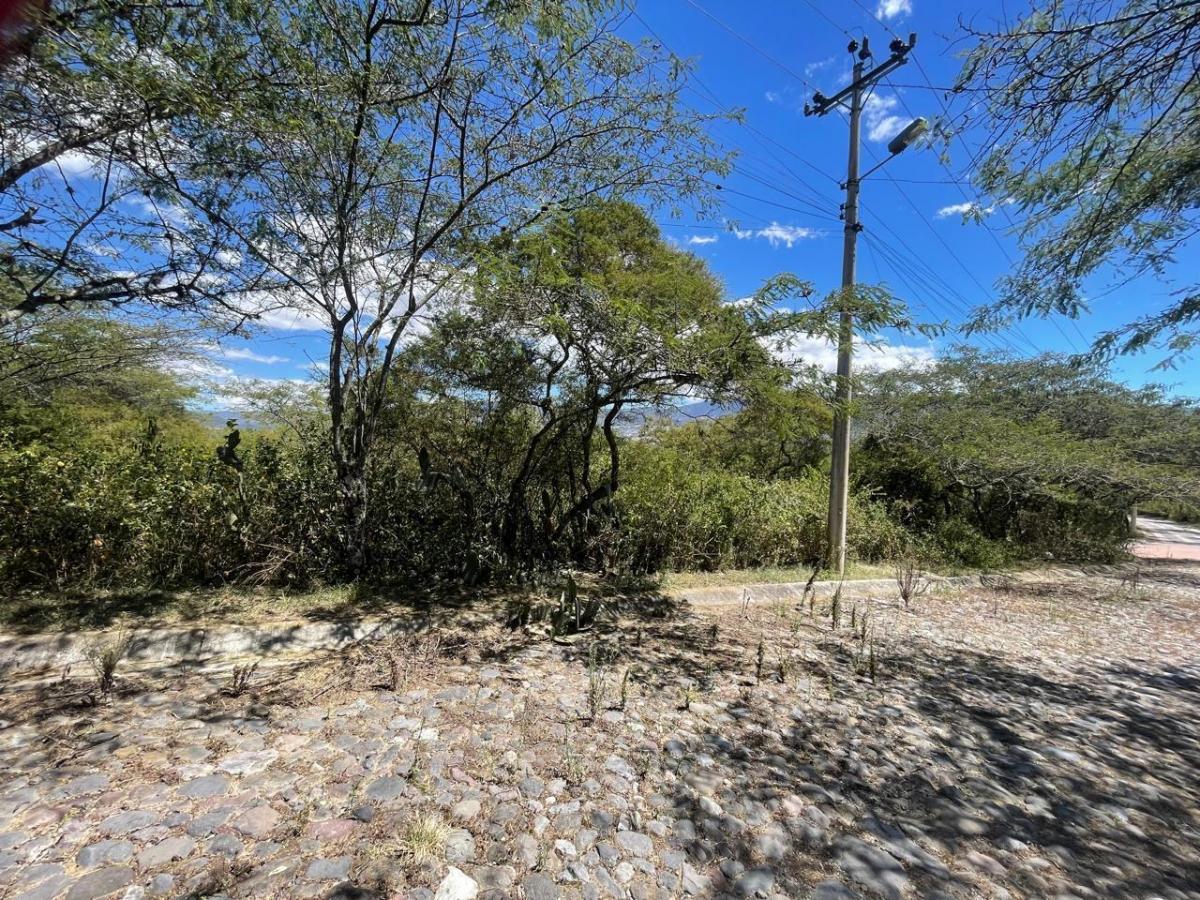 Terreno de Venta en Tumbaco Sector La Viña Alta — imagen 8