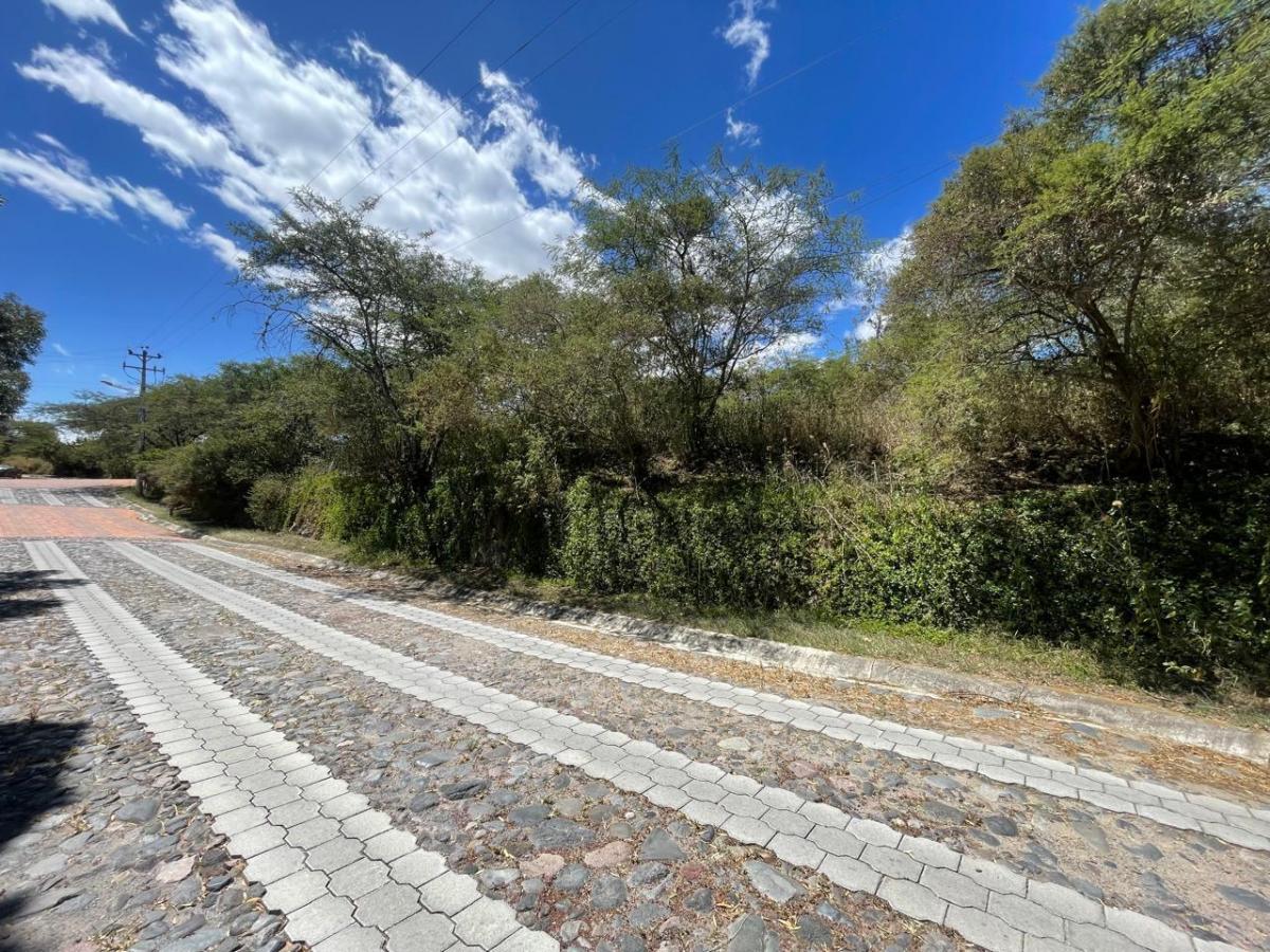 Terreno de Venta en Tumbaco Sector La Viña Alta — imagen 6
