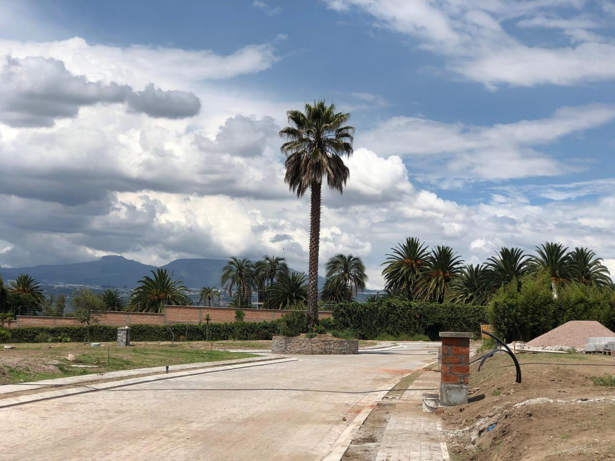 Terrenos de Venta en Puembo — imagen 8
