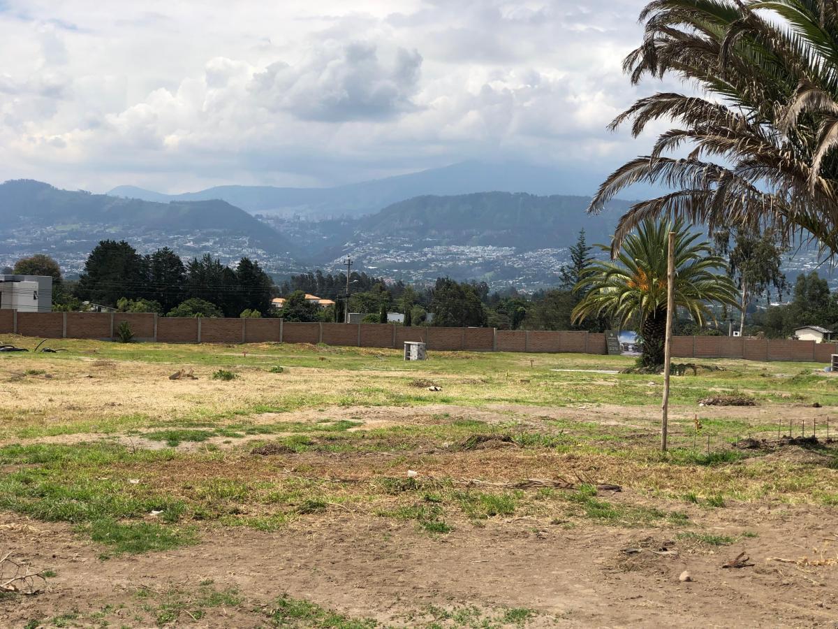Terrenos de Venta en Puembo — imagen 7