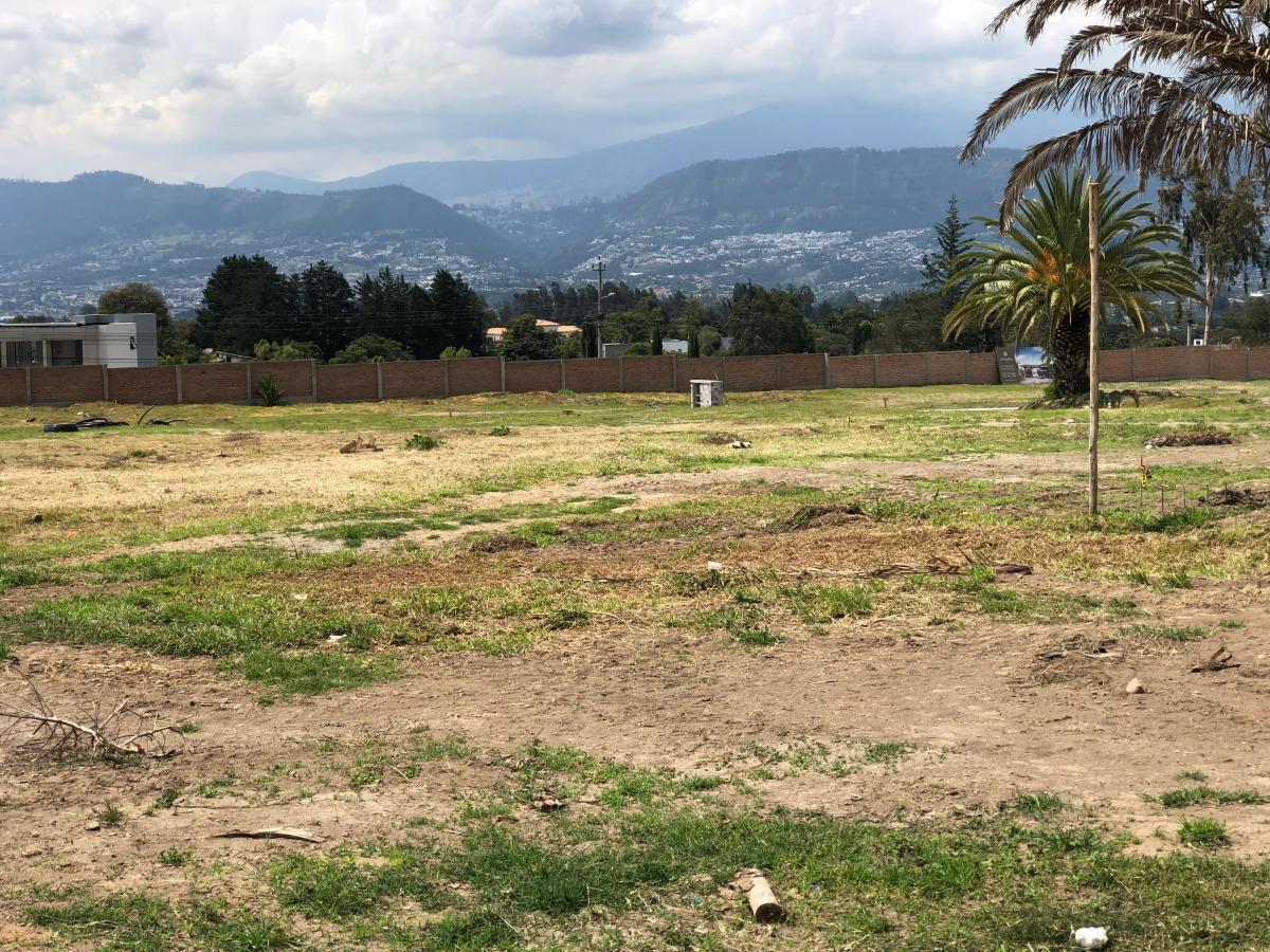 Terrenos de Venta en Puembo — imagen 6