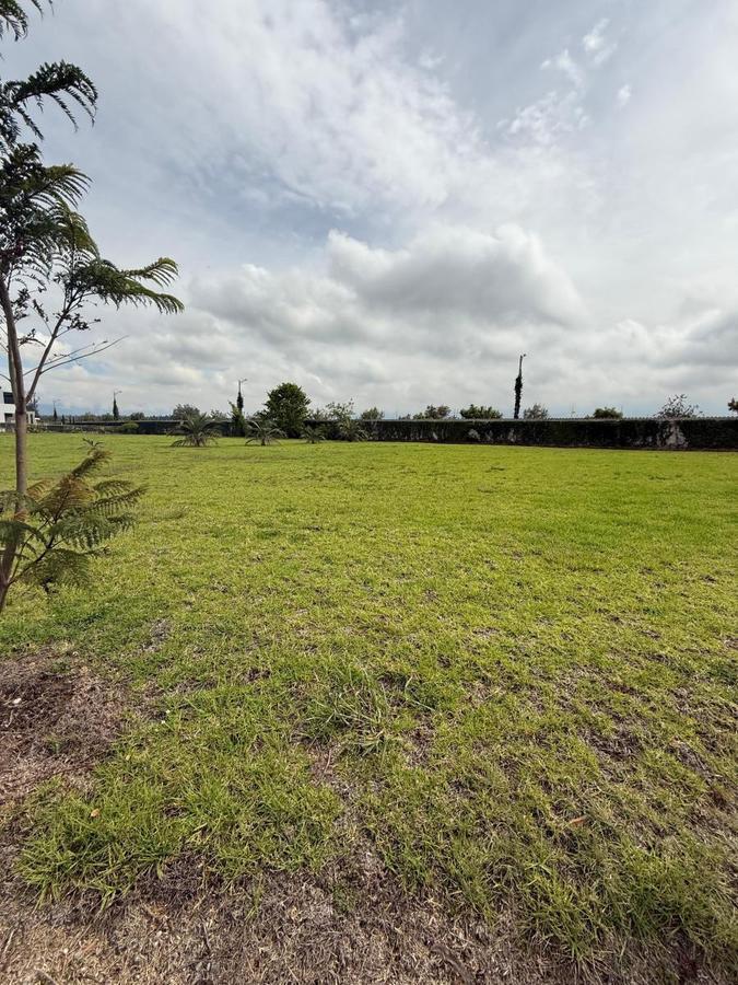 Vendo Excelente Terreno Puembo — imagen 5