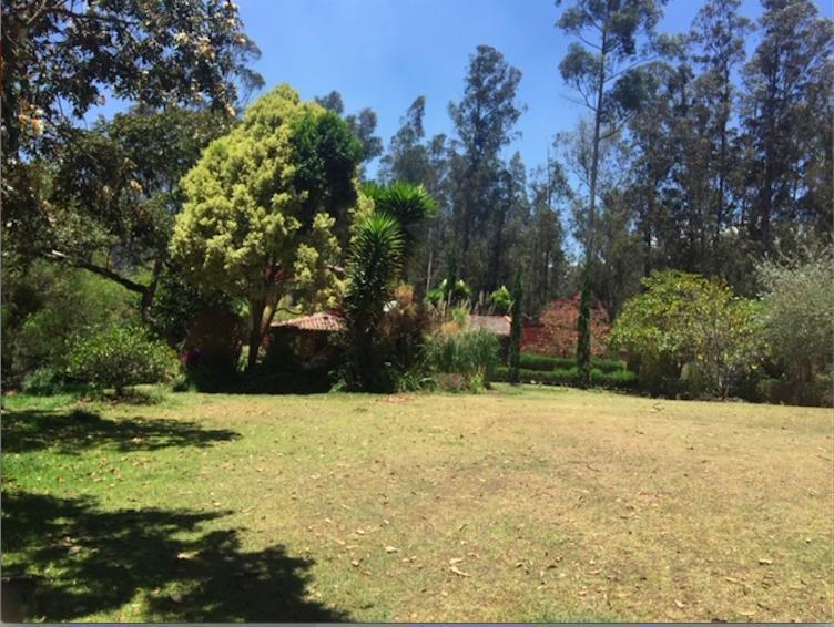 Los Chillos Alangasi Terreno en Venta con Casa de Campo — imagen 10