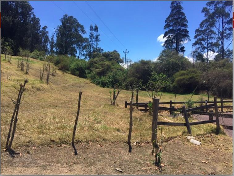 Los Chillos Alangasi Terreno en Venta con Casa de Campo — imagen 9
