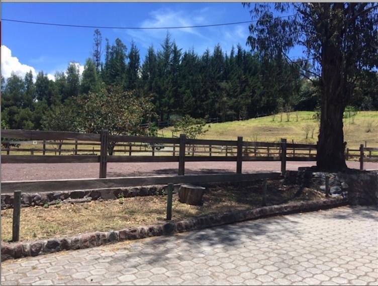 Los Chillos Alangasi Terreno en Venta con Casa de Campo — imagen 7