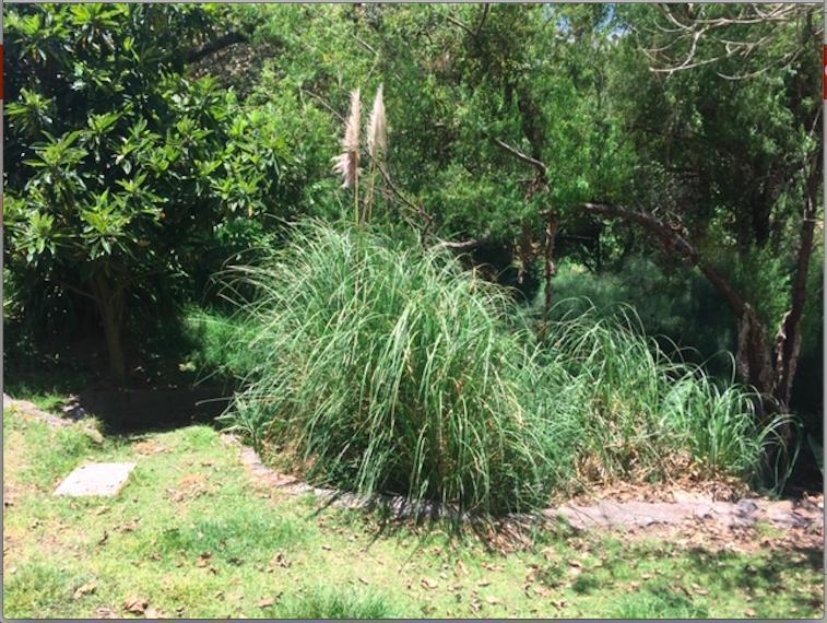 Los Chillos Alangasi Terreno en Venta con Casa de Campo — imagen 6