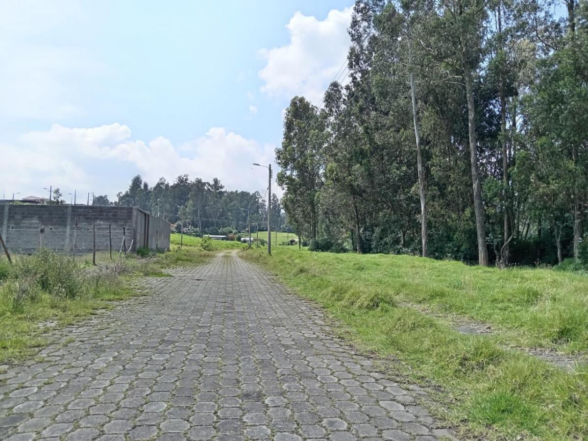 Terreno en Venta en Inchalillo — imagen 8