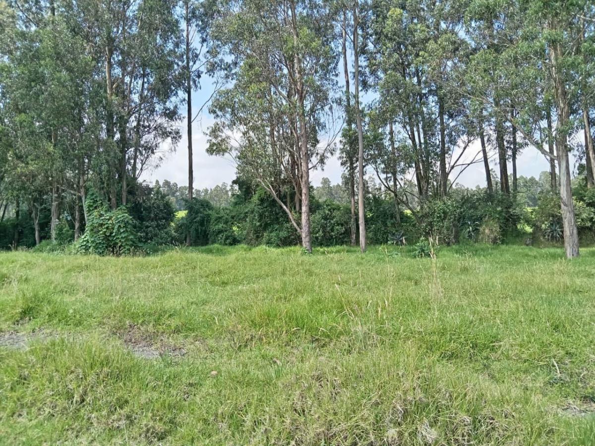 Terreno en Venta en Inchalillo — imagen 7