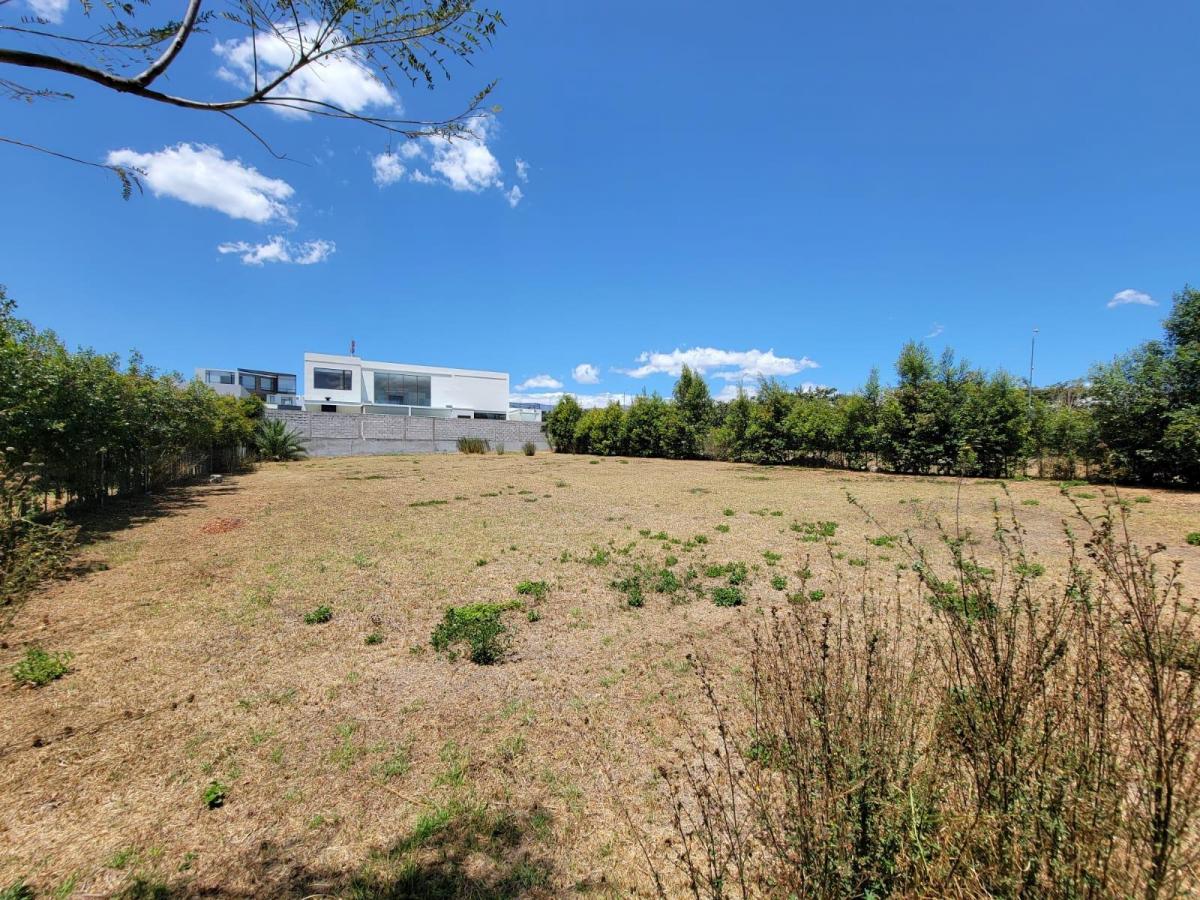 Terreno de Venta en Puembo de 1100 m Urbanización Privada — imagen 10