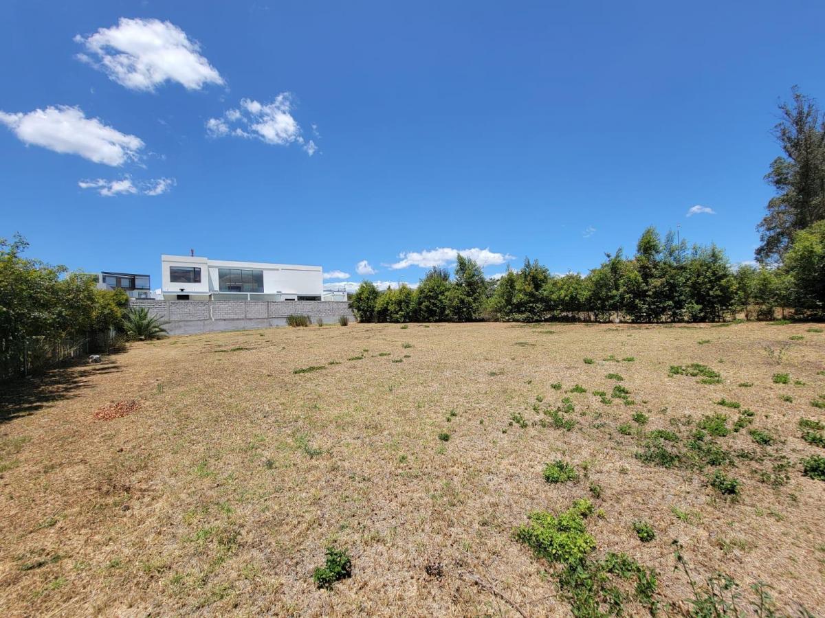 Terreno de Venta en Puembo de 1100 m Urbanización Privada — imagen 7