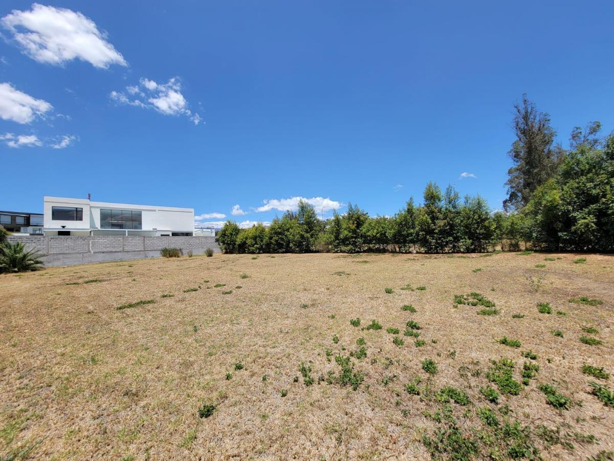 Terreno de Venta en Puembo de 1100 m Urbanización Privada — imagen 5