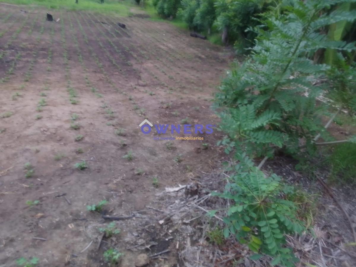 Venta Terreno Km 26 Via Duran Yaguachi a Lado del Iniap (Age), Guayas — imagen 10