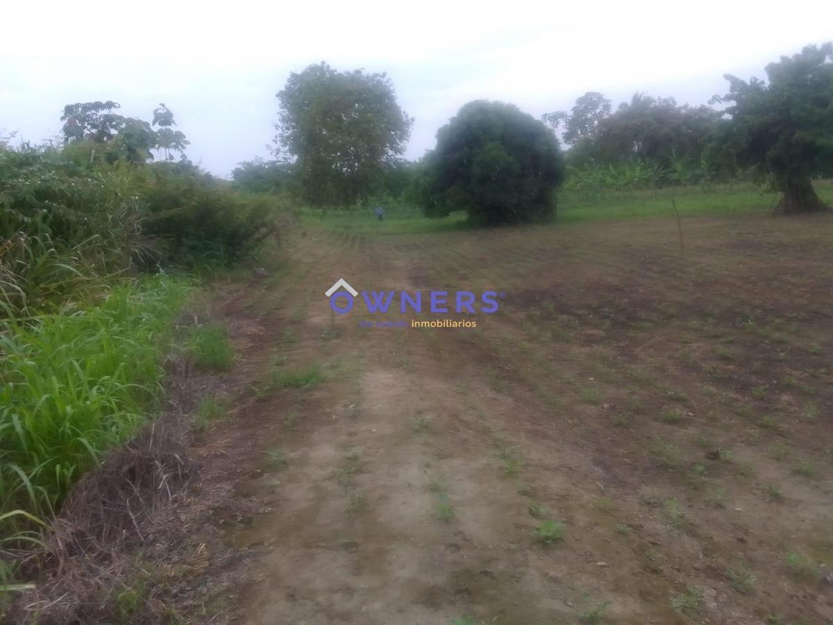 Venta Terreno Km 26 Via Duran Yaguachi a Lado del Iniap (Age), Guayas — imagen 8