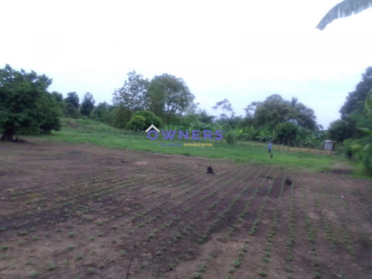 Venta Terreno Km 26 Via Duran Yaguachi a Lado del Iniap (Age), Guayas — imagen 6
