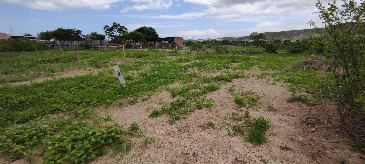 Venta - Terreno - Manta - Norte - Conjunto Prado de Manta, Manabí — imagen 8