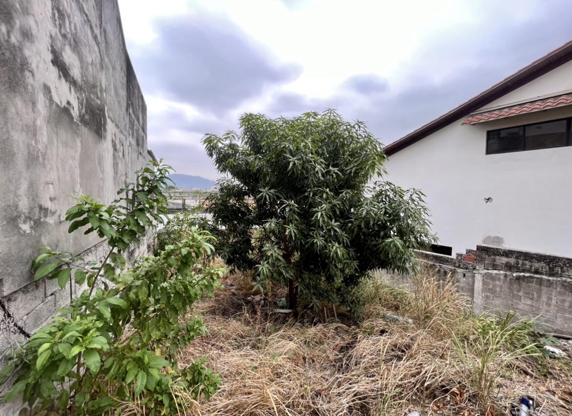 Sch - Santa Cecilia, en Venta Terreno, 399.23 m², Urbanización Privada, Guayas — imagen 6