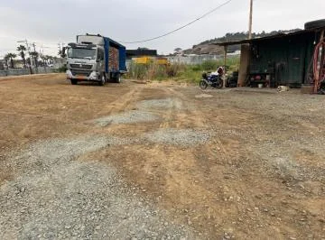 Terreno en Alquiler 2652 M²| Av Franscisco de Orellana| Al Pie de La Vía, Guayas — imagen 2