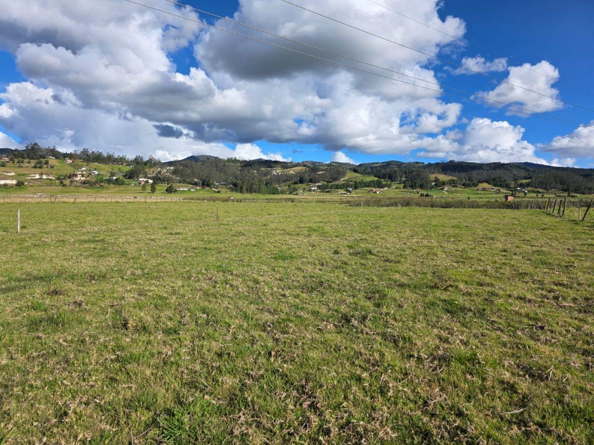 En Tarqui Terreno Plano en Venta con Frente a La Vía, Azuay — imagen 8