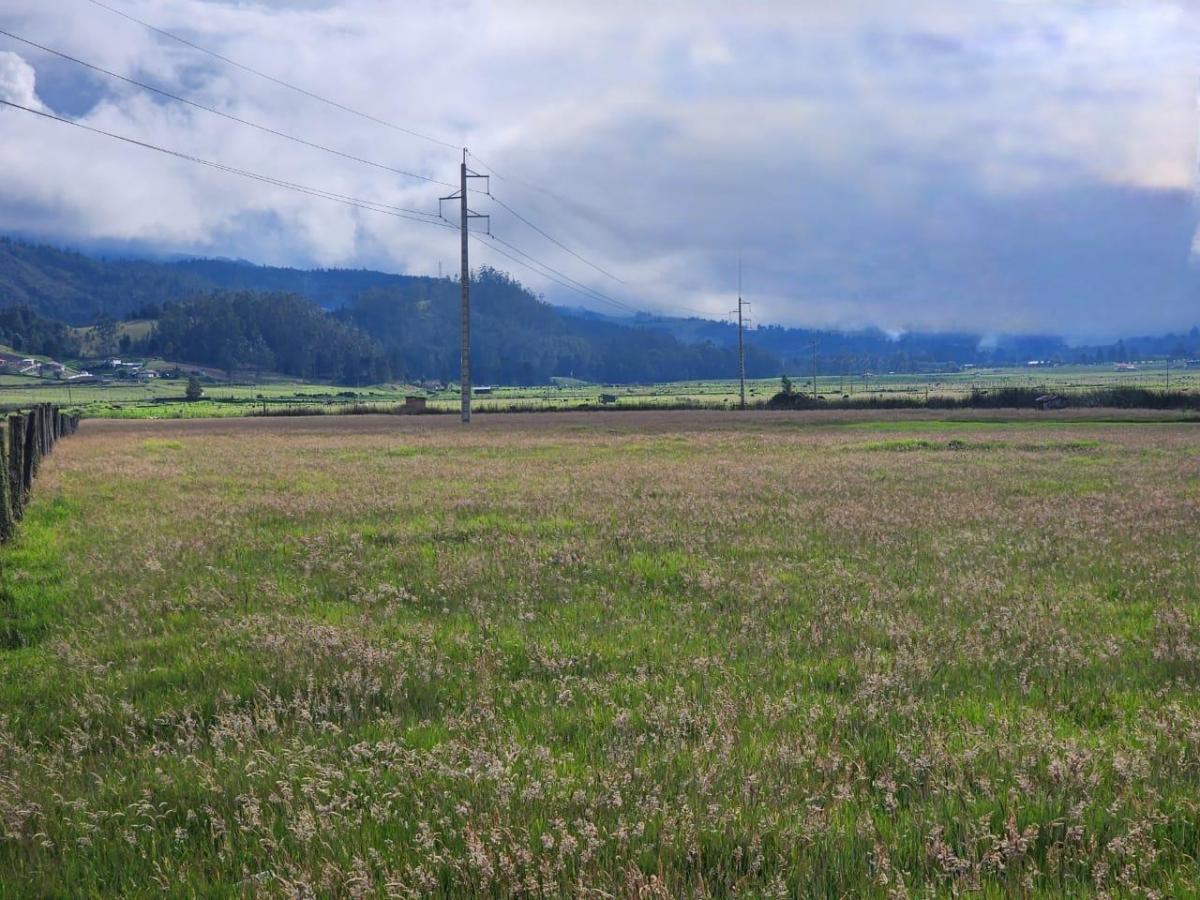 En Tarqui Terreno Plano en Venta con Frente a La Vía, Azuay — imagen 6