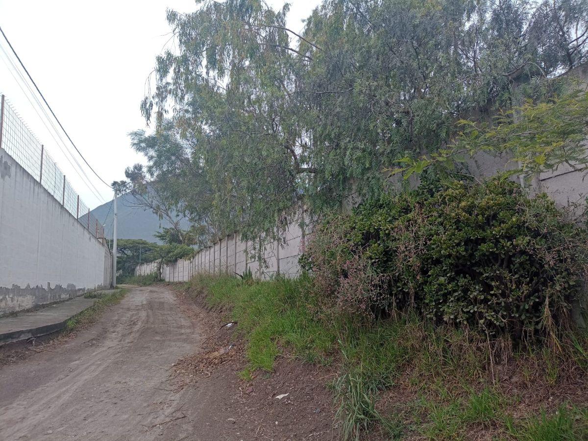 Vendo Terreno Plano 1.800 m² $88.200 en San Antonio de Pichincha - Mitad del Mundo Sector Rumicucho — imagen 8