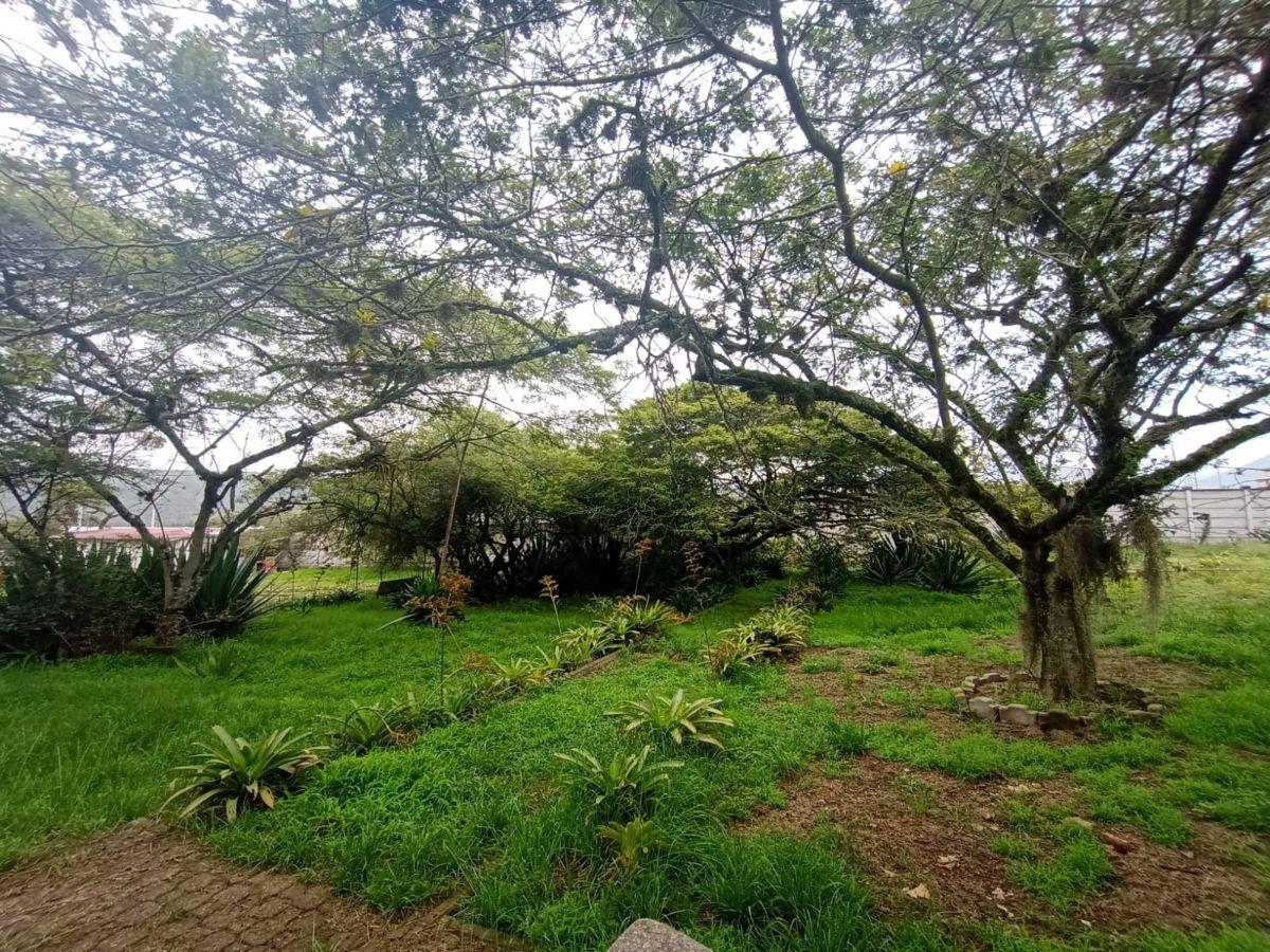 Vendo Terreno Plano 1.800 m² $88.200 en San Antonio de Pichincha - Mitad del Mundo Sector Rumicucho — imagen 6