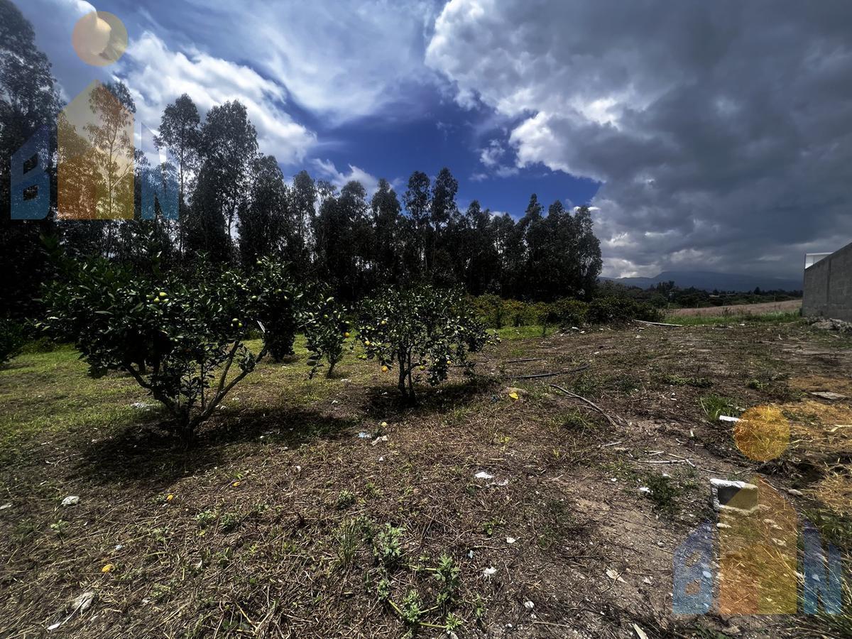 Terreno en Venta en Puembo Urb. Privada Excelente Ubicación — imagen 8
