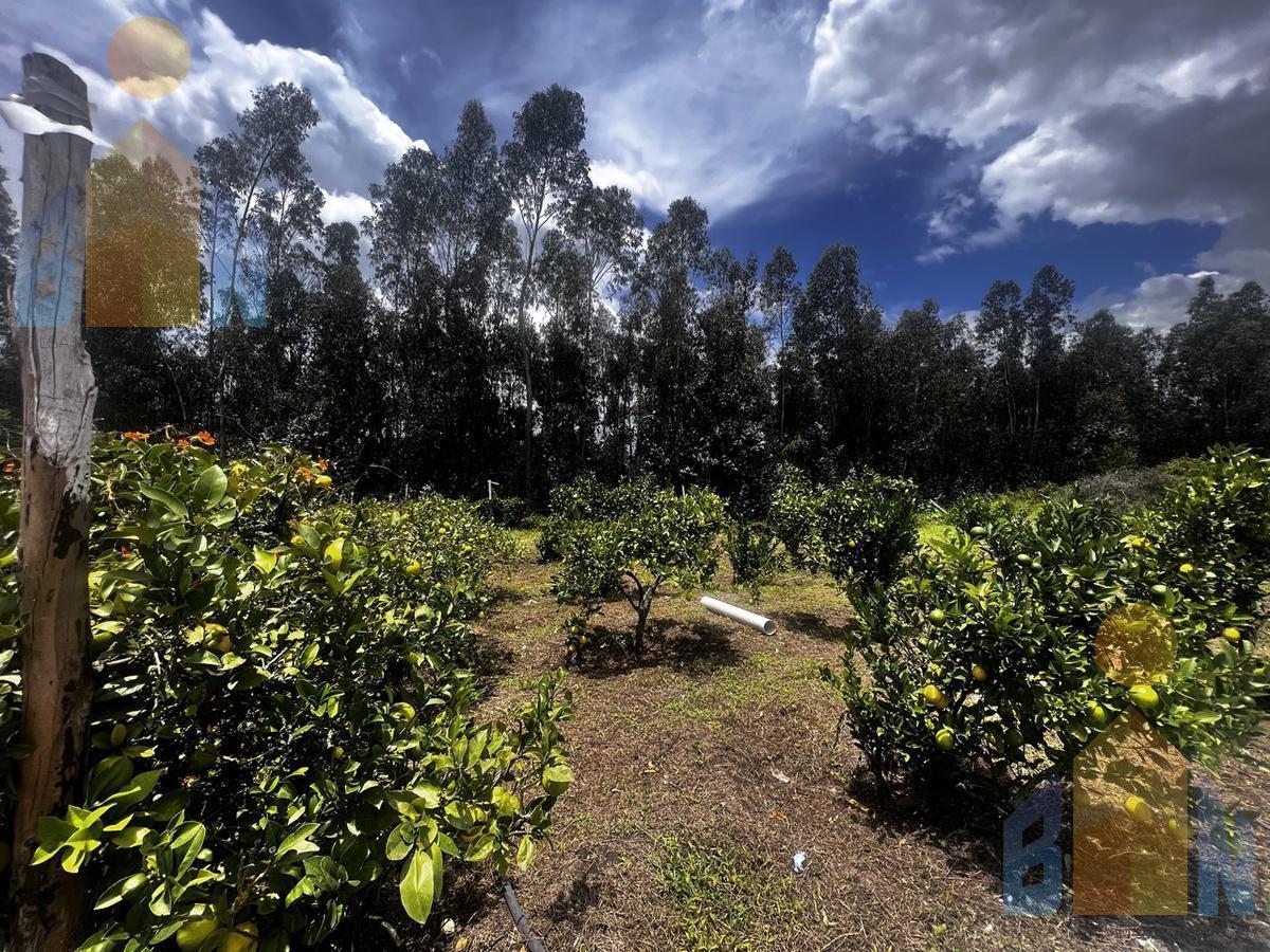 Terreno en Venta en Puembo Urb. Privada Excelente Ubicación — imagen 7