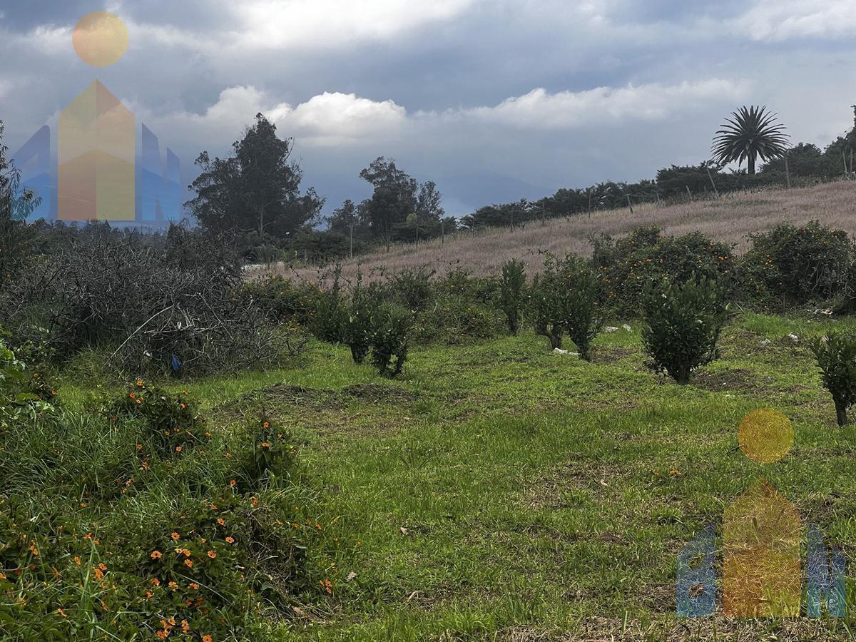 Terreno en Venta en Puembo Urb. Privada Excelente Ubicación — imagen 2