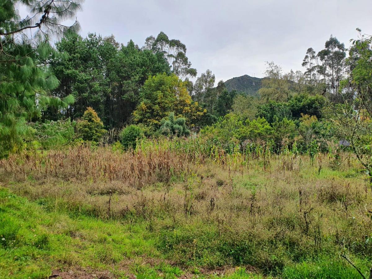 10 Hectáreas de Terreno en Venta en Sector Guagualzhumi, Azuay — imagen 9
