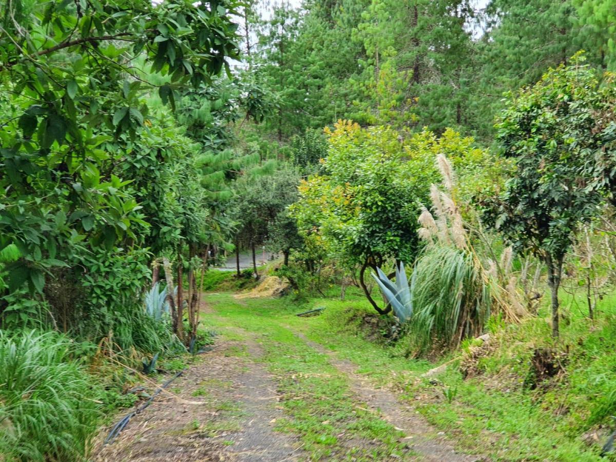 10 Hectáreas de Terreno en Venta en Sector Guagualzhumi, Azuay — imagen 7