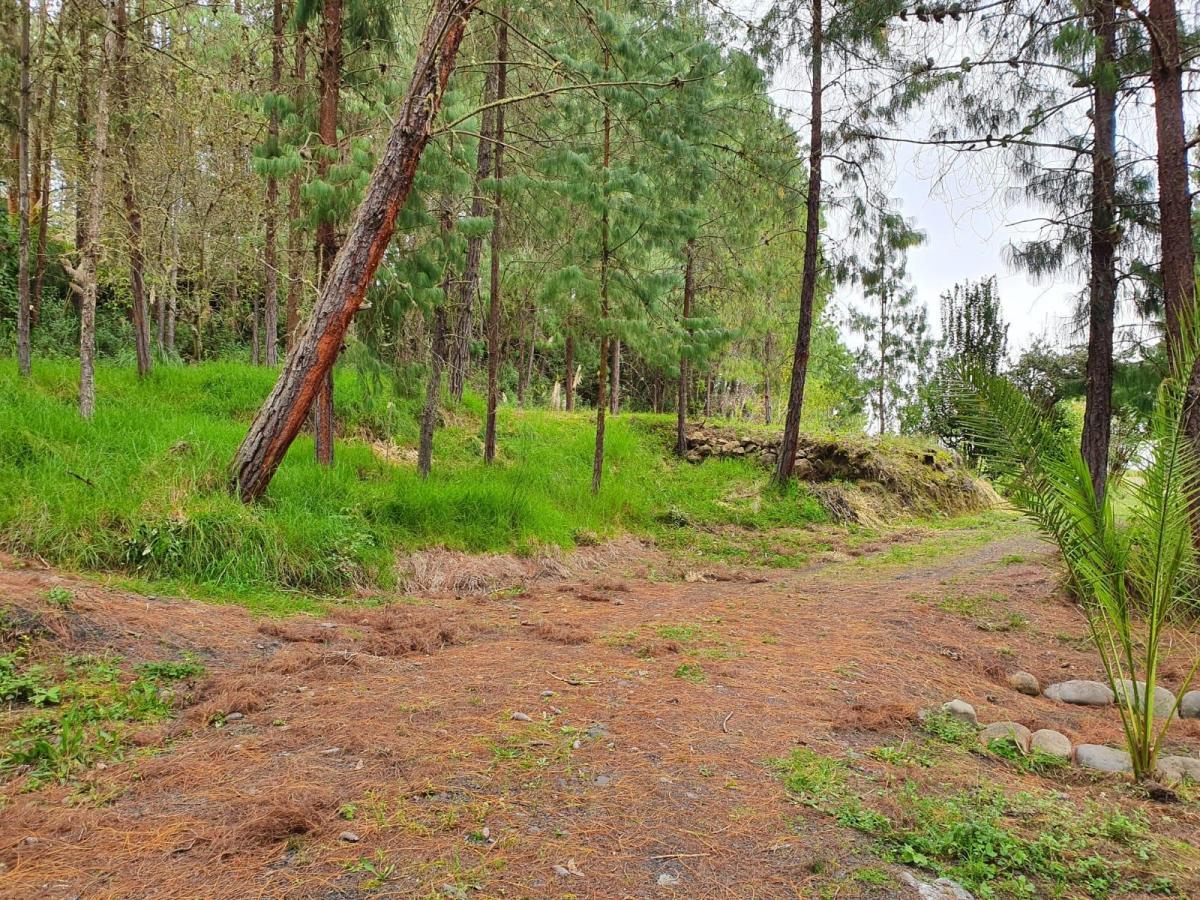 10 Hectáreas de Terreno en Venta en Sector Guagualzhumi, Azuay — imagen 6